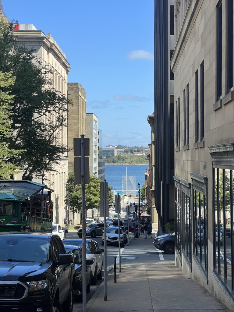 View from citadel hill 