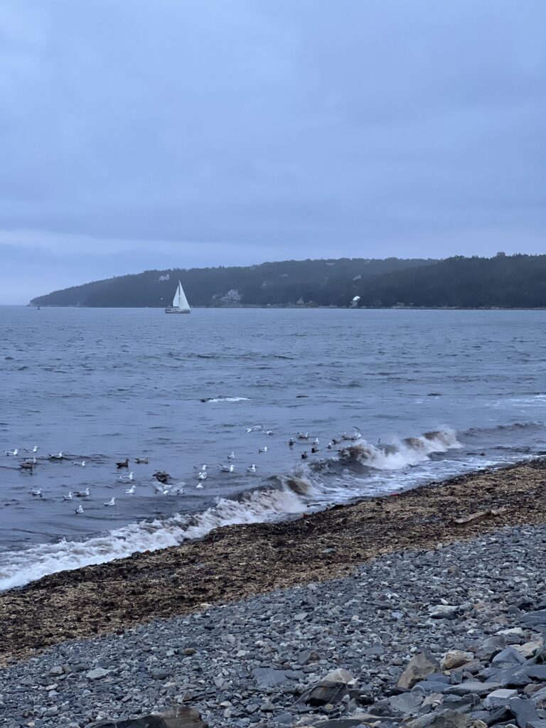 Point pleasant park